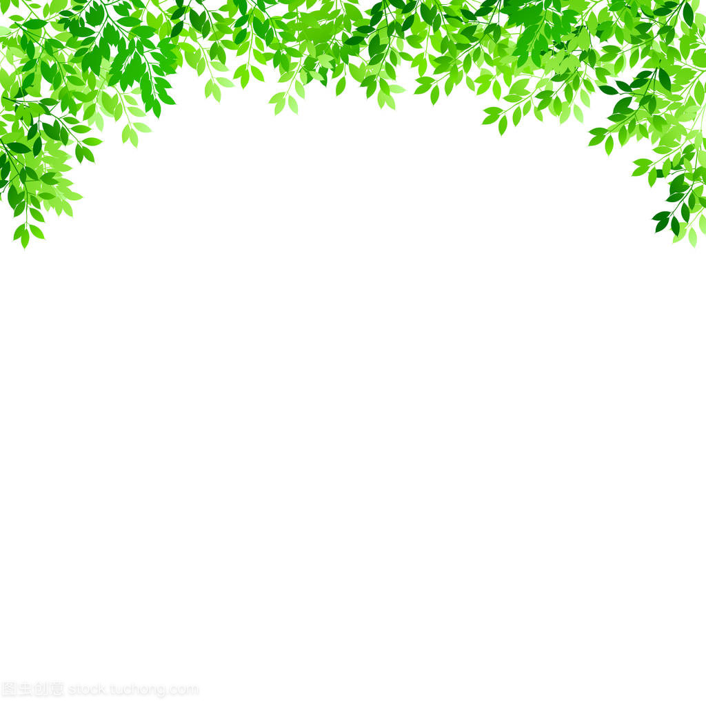 清新的綠葉景觀背景