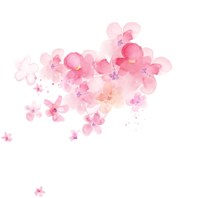 png紅粉色櫻花花朵免摳素材@灬小獅子灬