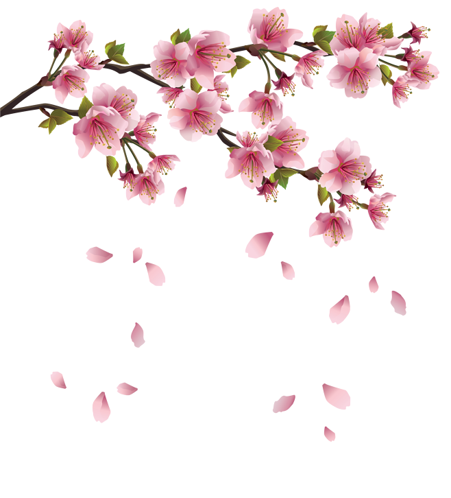 花PNG素材#桃花樹枝