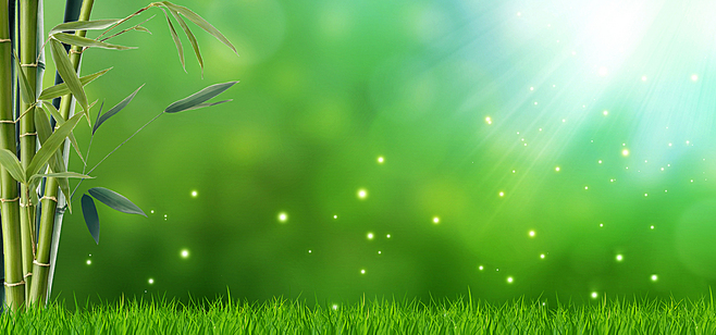 清新竹林竹炭綠色海報背景背景圖片素材