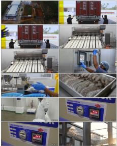 工業視頻素材視頻素材下載, 工業視頻素材AE模板下載