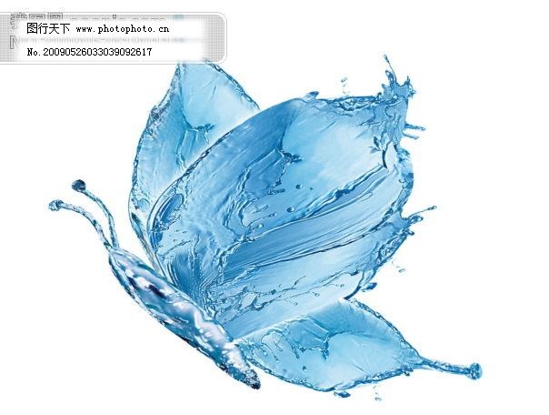 水蝴蝶psd素材,底紋 特效 形態(tài)-